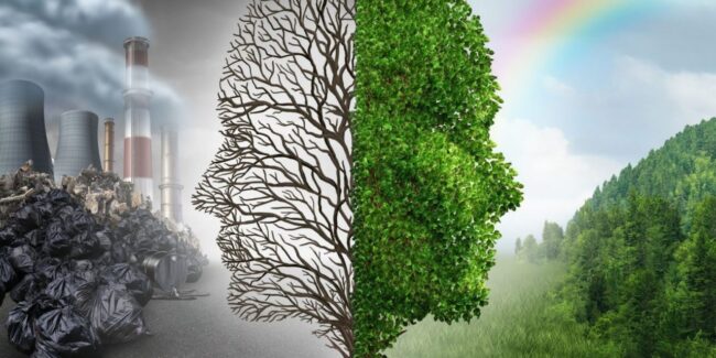 legislacion-chilena-y-su-impacto-en-el-medio-ambiente-1536×864-1-1280×640